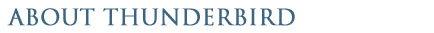 About Thunderbird Oil and Gas