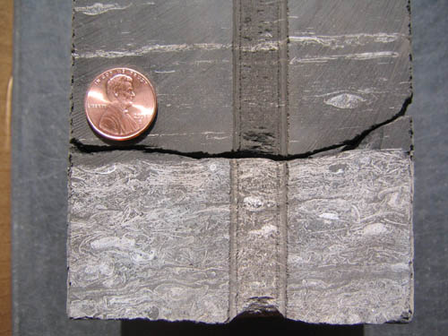 Barnett Shale
